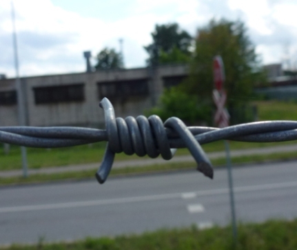 Galvanized barbed wire (double twist) ø 1,6mm; 100m